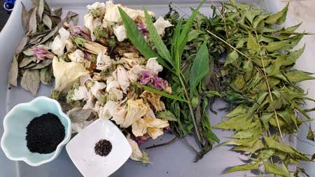 Make your own Herbal Hair Oil From Homegrown Herbs
