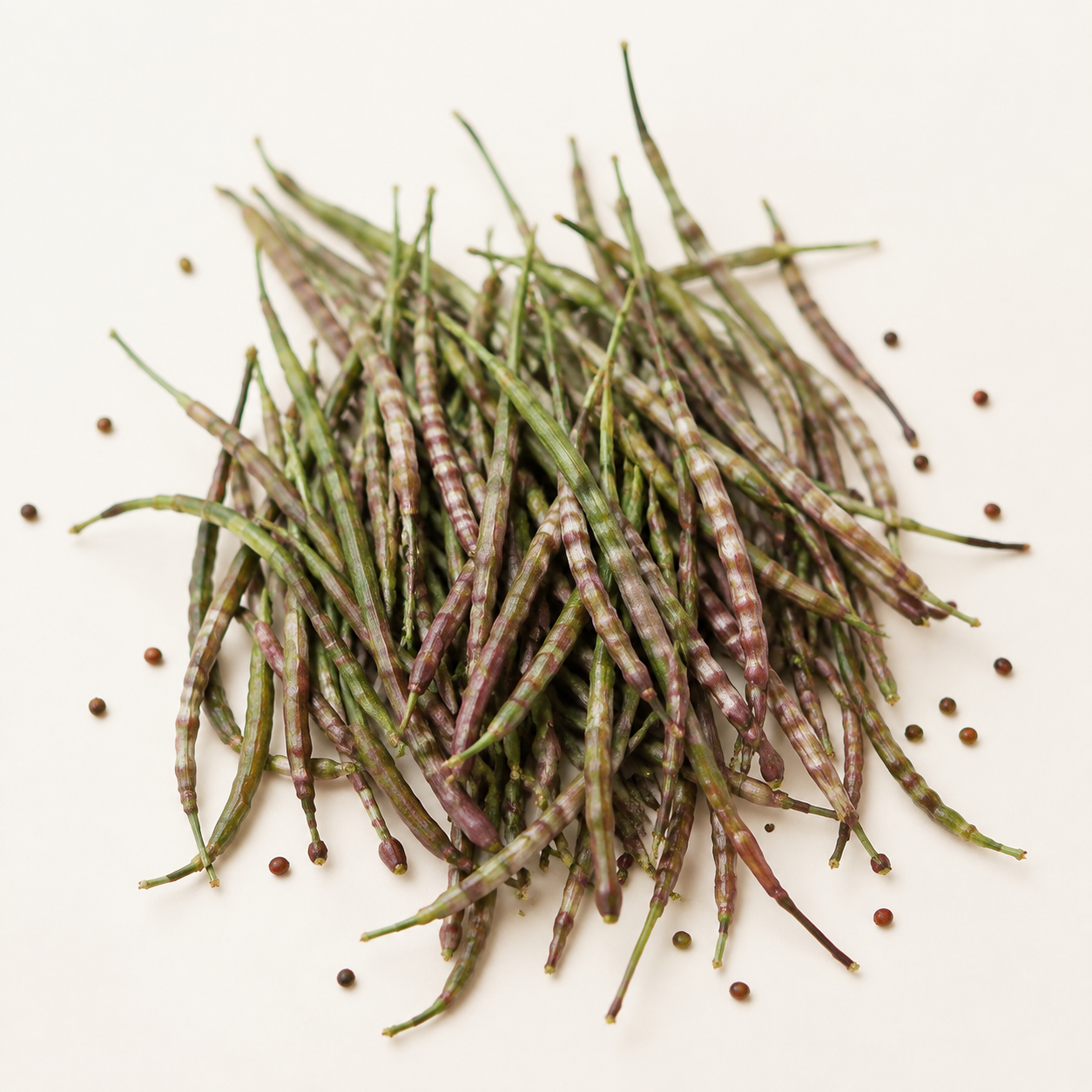 100 SEEDS- Radish Red Rat's Tail- Non-GMO