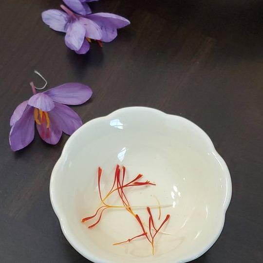Saffron Crocus- 50 bulbs - Crocus sativus
