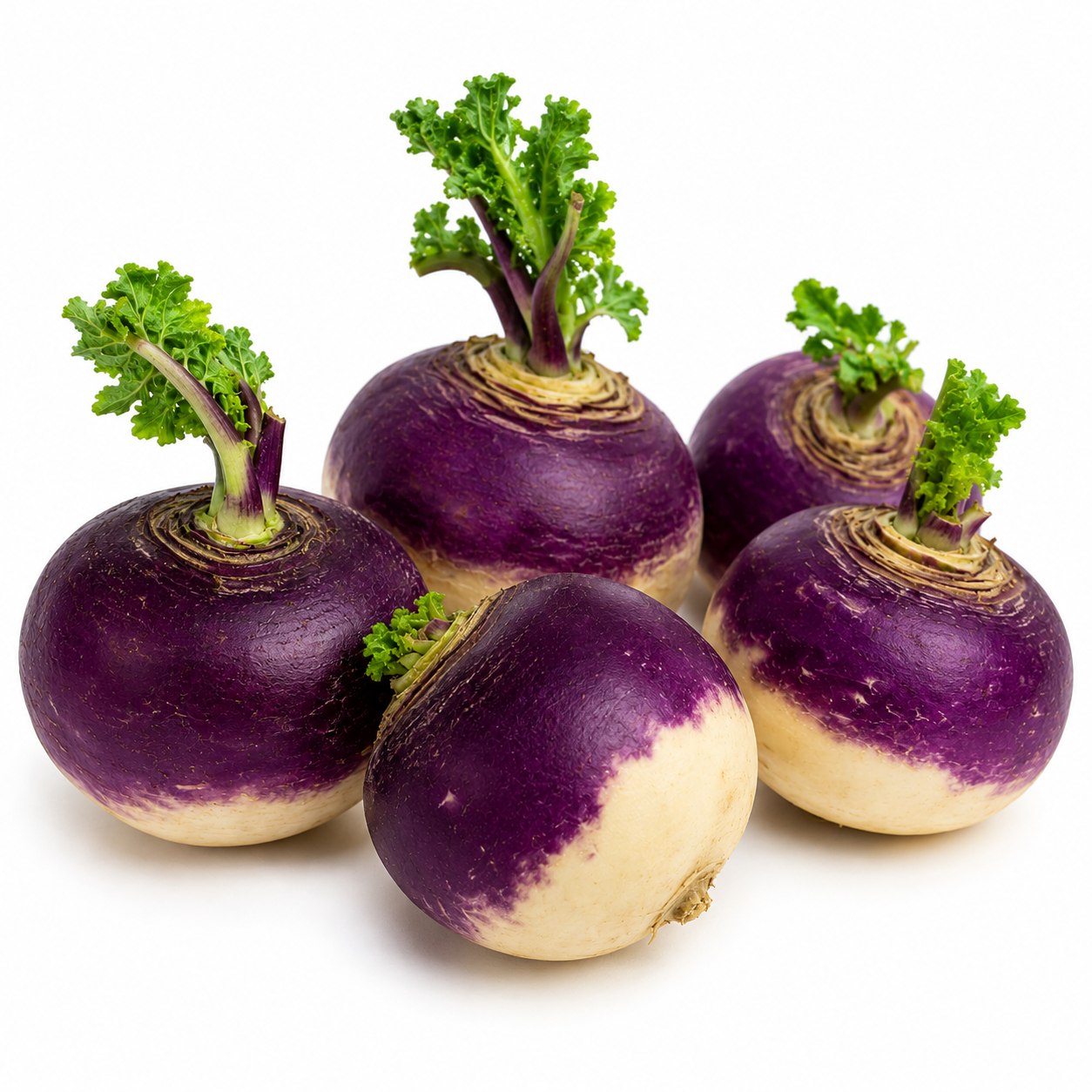 Rutabaga-Laurentian- 100 seeds