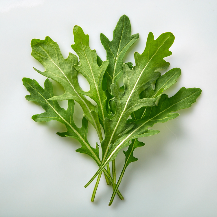 Organic Arugula (Slow Bolt) 100 Seeds- Eruca versicaria