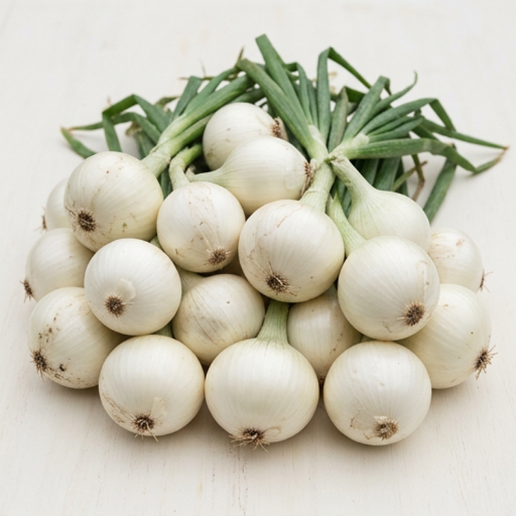 White Onion- 100 Seeds