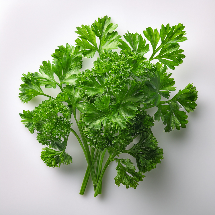 Organic Evergreen Parsley- 100 seeds