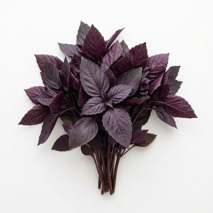 Organic Red Rubin Basil – 100 Seeds