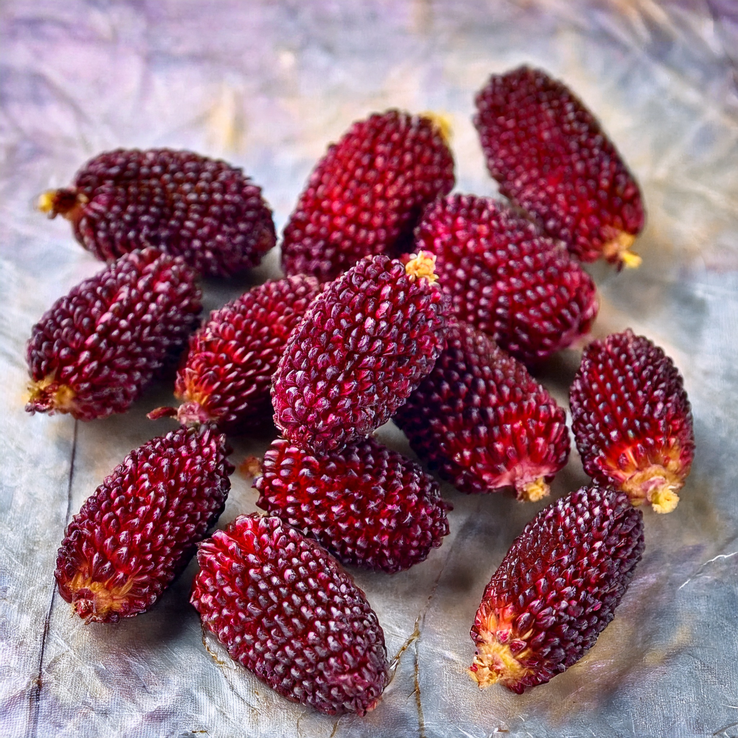 Straberry Popcorn Corn- Ornamental- 20 seeds