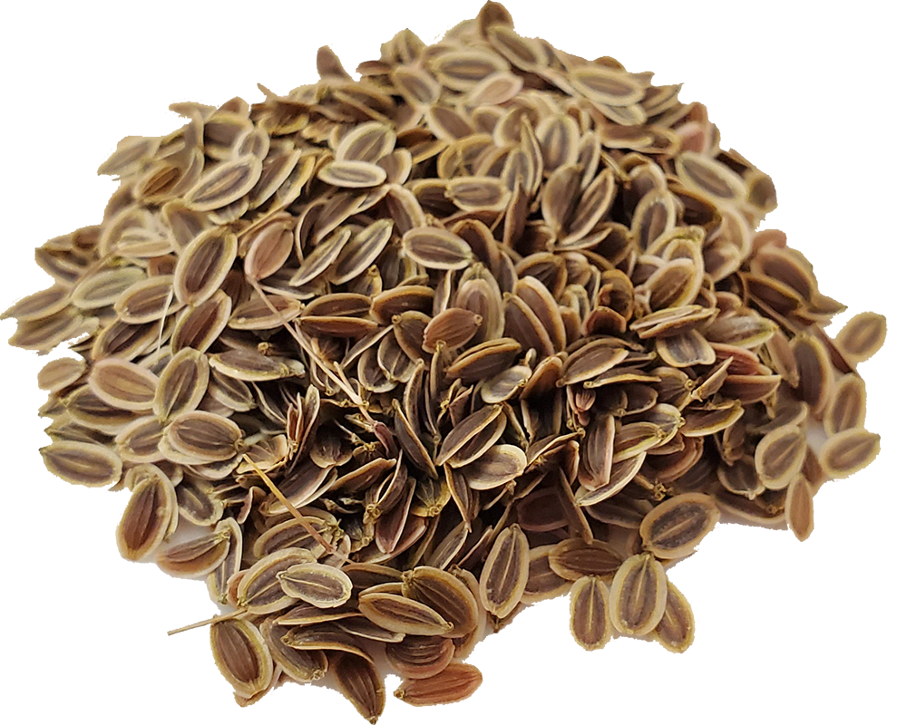 25 SEED Varieties-Jumbo Winter Wonders Seed Mix- All the Seeds that you need this fall.