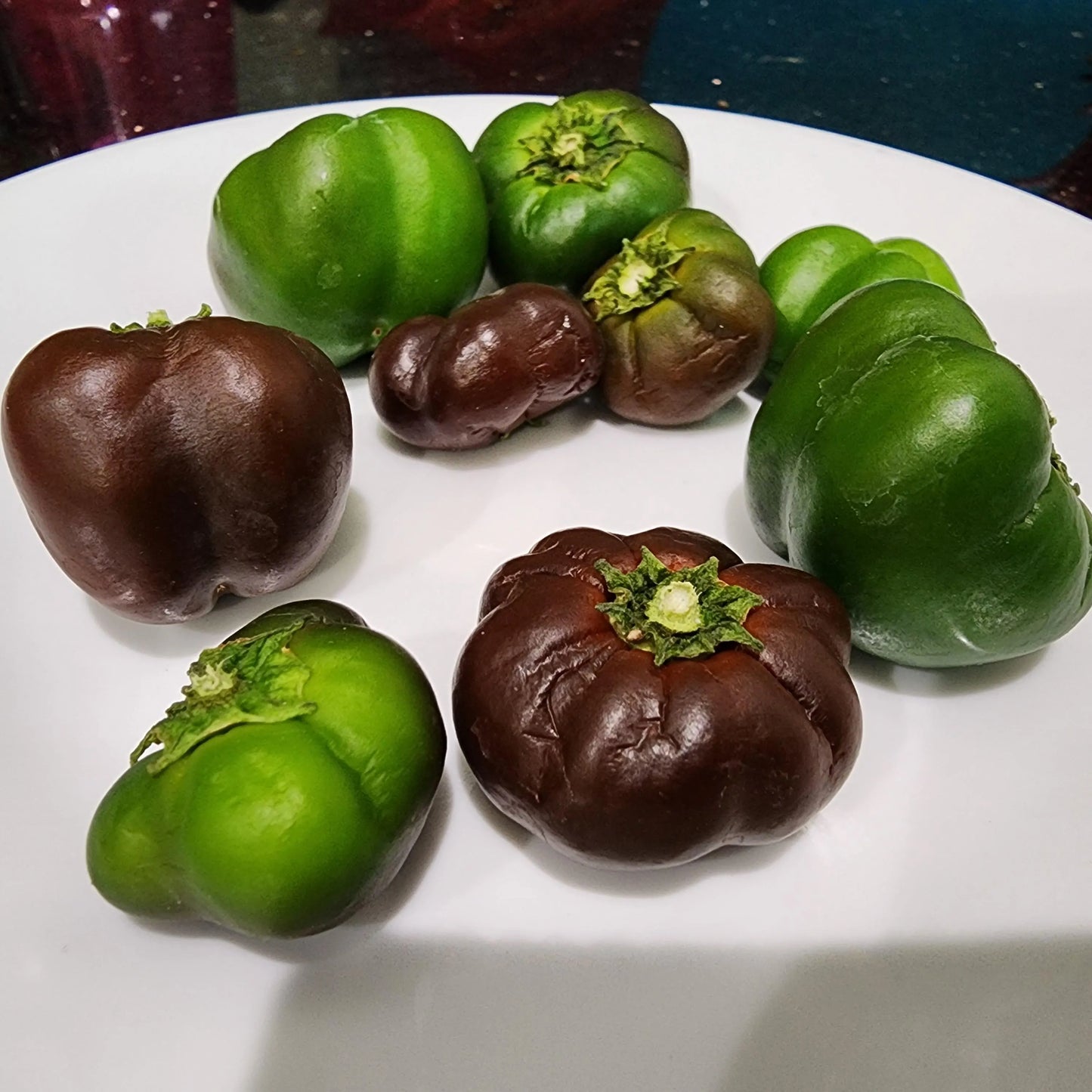 30 SEEDS Chocolate Bell Pepper- Mini size- Non GMO, Heirloom Capsicum annuum