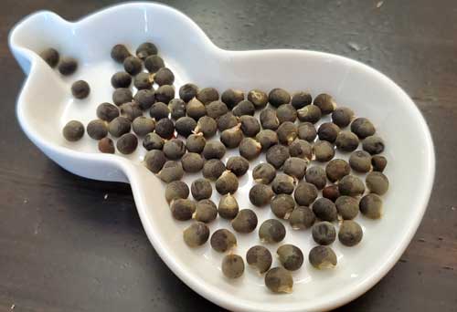 How to Save Okra Seeds?