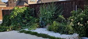 Summer Garden Care While On Vacation