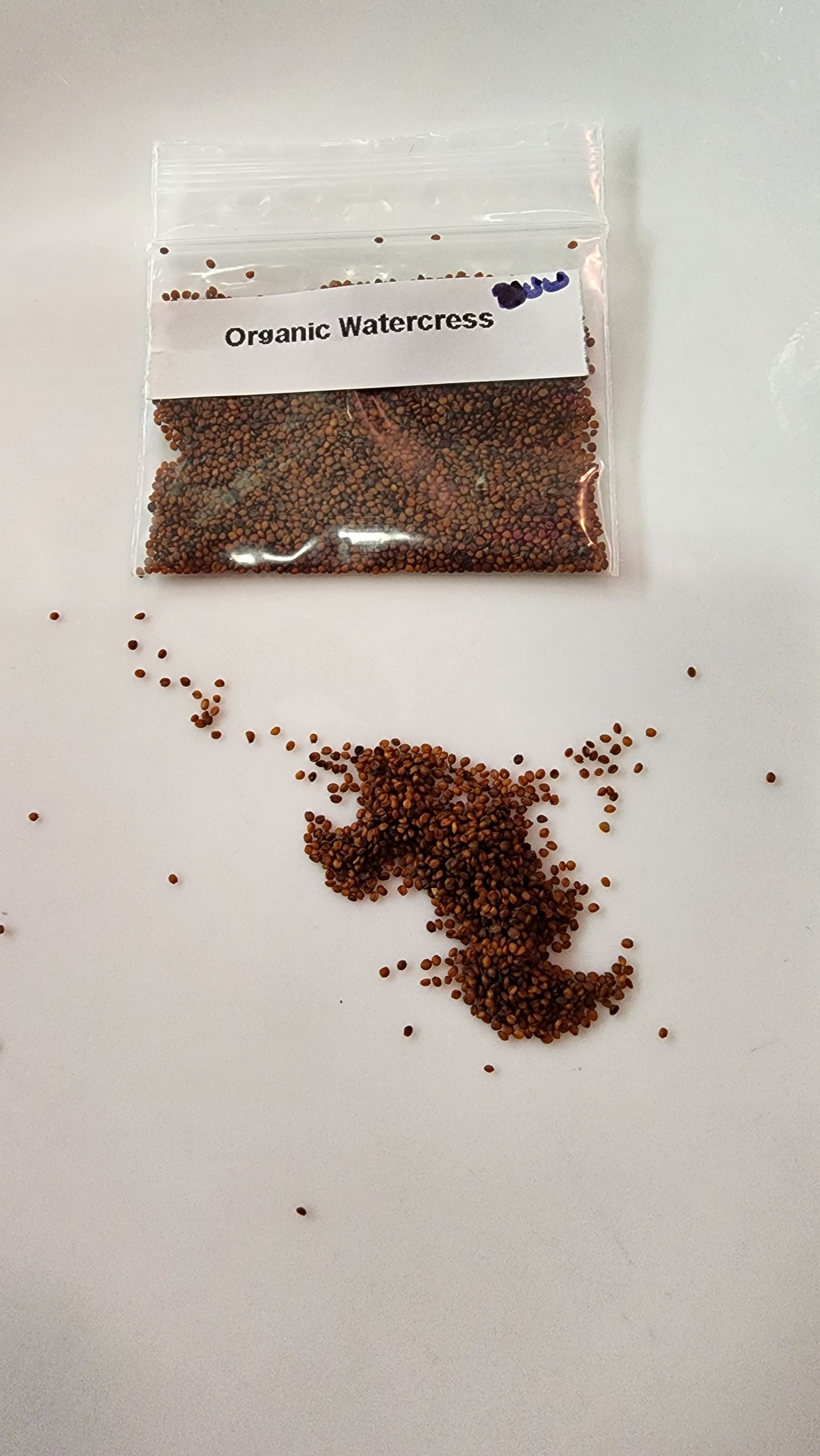 Watercress Seeds - 800+ (1g) - Organic