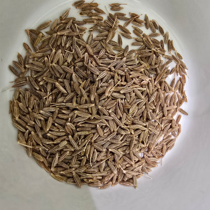 Cumin Herb – 100 Seeds