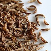 Jumbo Winter Wonders Seed Mix – 25 Seed Varieties