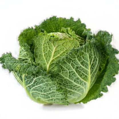 Cabbage Variety Pack – 4 Varieties (Individually Packed)