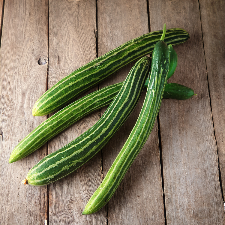 Armenian Striped Cucumbner - 30 seeds