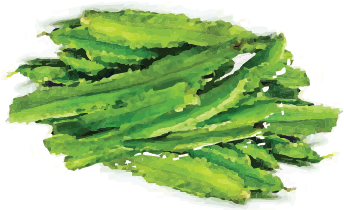 Winged Beans Seeds- 20