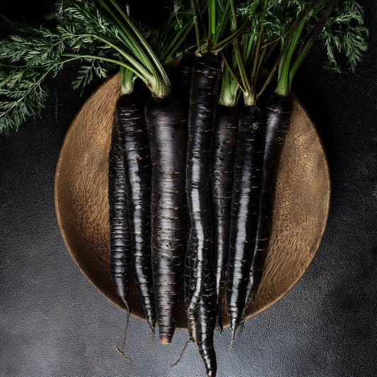 Carrots- Black Nebula - 100 seeds