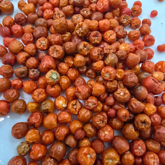 Pepper Seeds- Chiltepin Pepper - 30 seeds