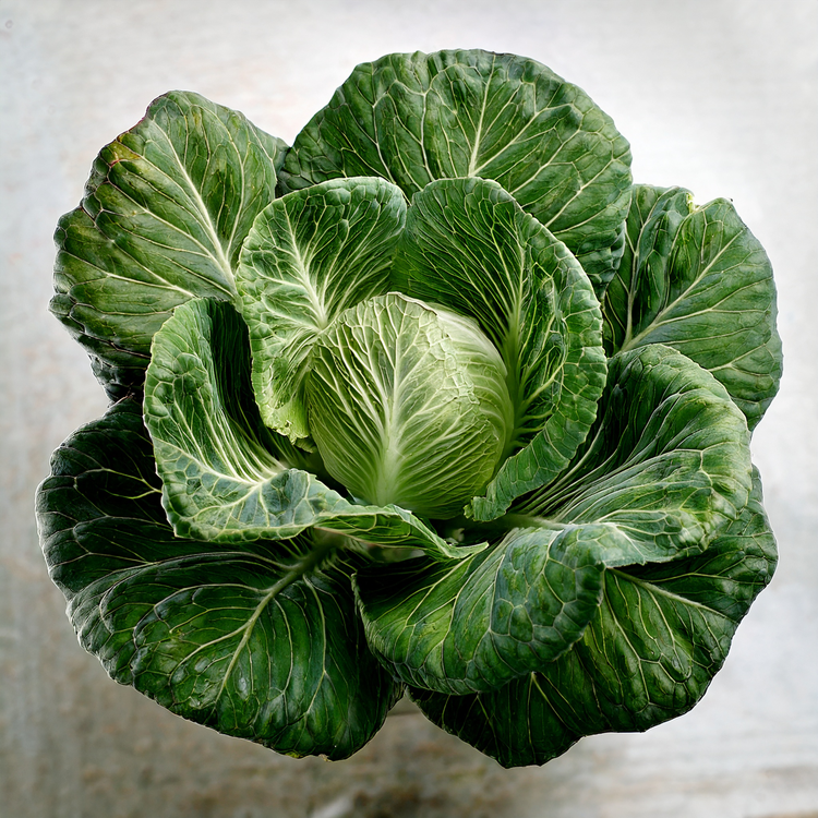 Collard -Morris Heading-  100 seeds