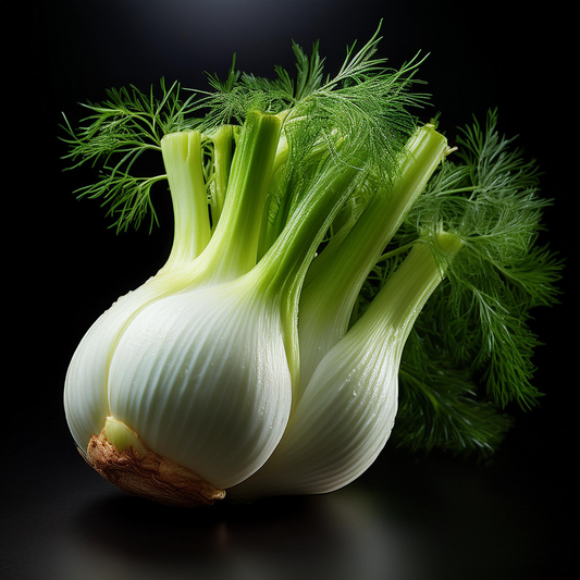 Fennel Seeds - Florence - 50 seeds - Foeniculum vulgare var. azuricum