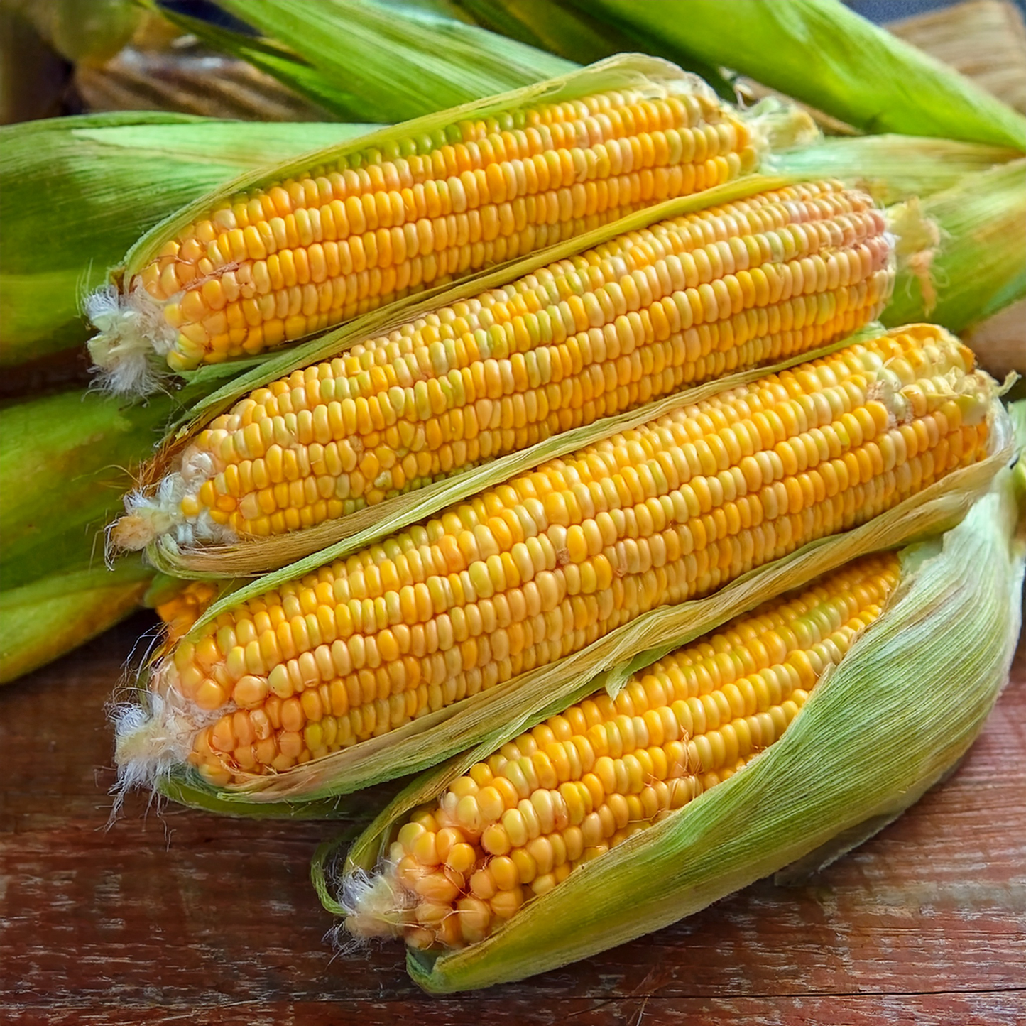 Golden Bantam Corn- 20 seeds