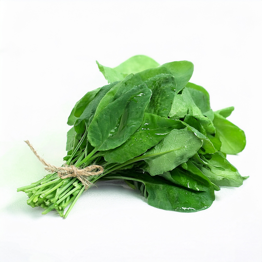 Organic Green Sorrel 100 Seeds- Rumex acetosa