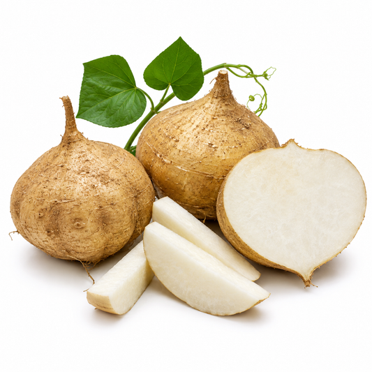 Thai Jicama Seeds- 20 Seeds