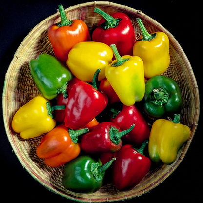 Mini Bell Pepper Mix – 30 Seeds