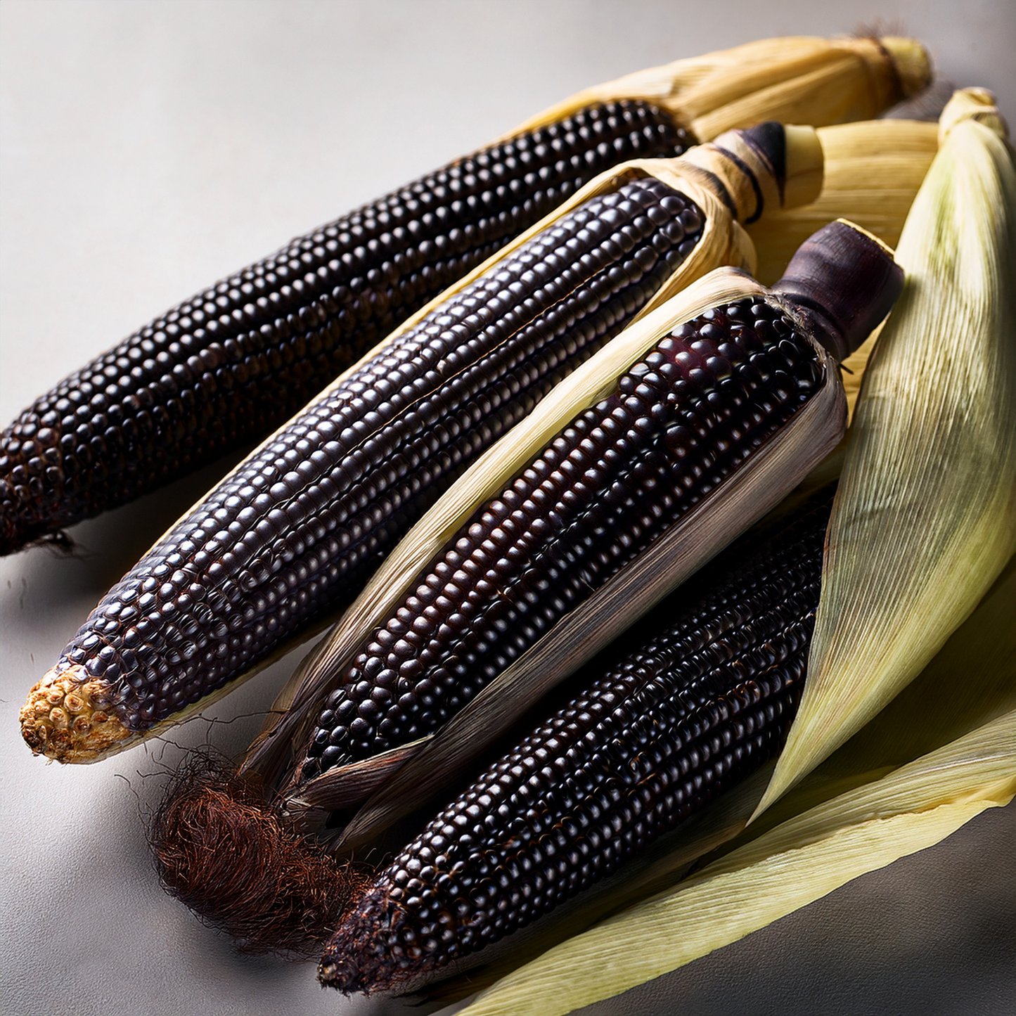 Maize Corn- Montana Morado- 20 seeds