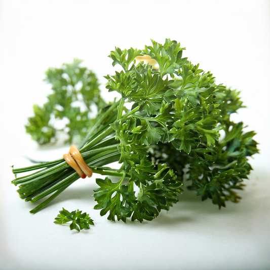 Organic Evergreen Parsley - 100 seeds