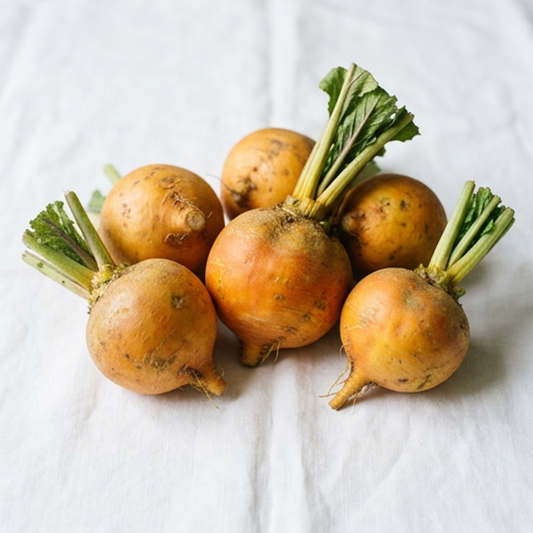 Organic Turnip - Goldie- 100 seeds