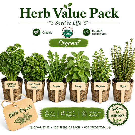Organic Herb Value Pack- 100 seeds of Six Herbs