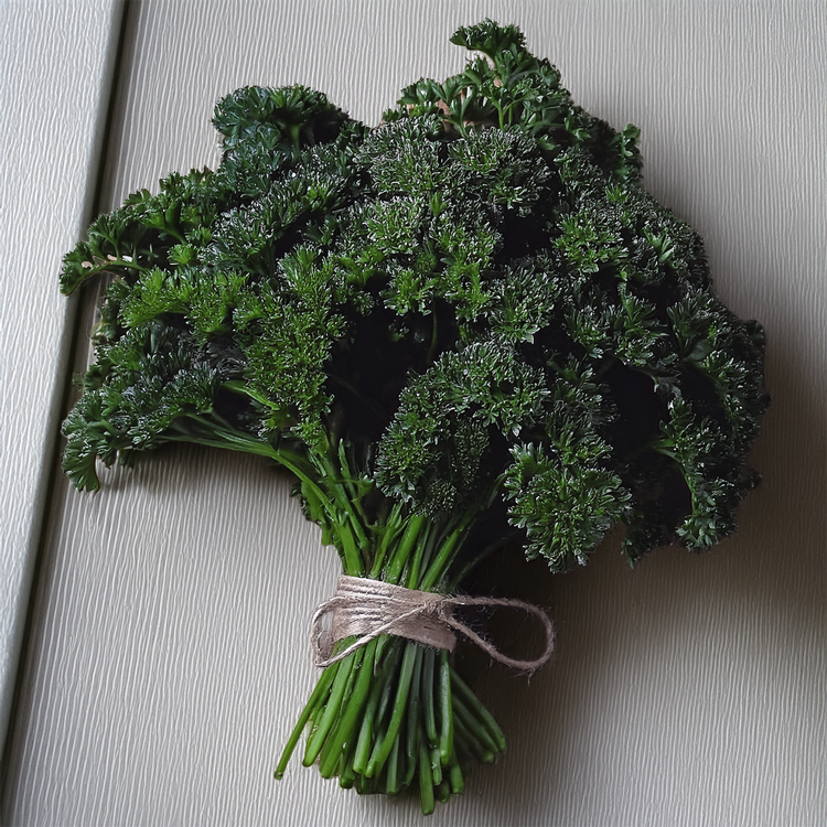Organic Moss Curled Parsley - 100 seeds