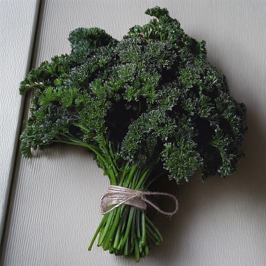 Organic Moss Curled Parsley - 100 seeds