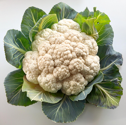 Organic Cauliflower- Snowball Y Improved