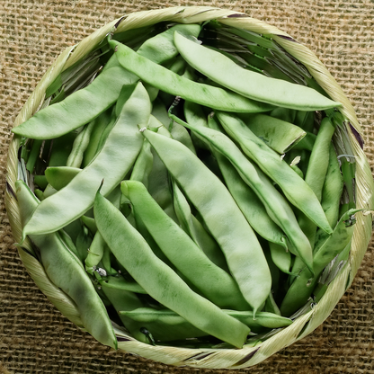 Pole Bean 'Qing Bian' Romano Type – 20 Seeds