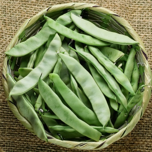 Pole Bean- Qing Bian- Romano Type- 20 seeds