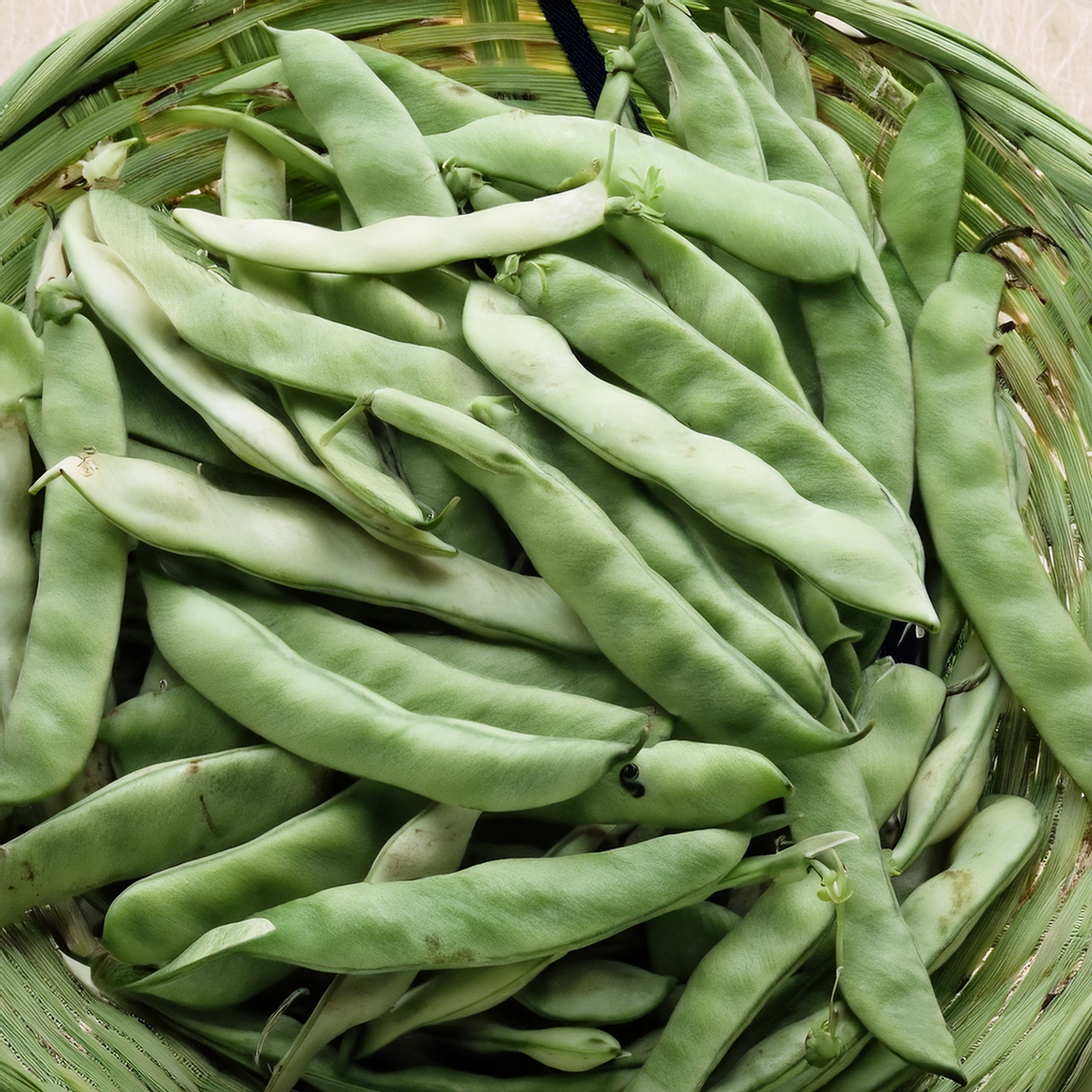 Pole Bean- Qing Bian- Romano Type- 20 seeds
