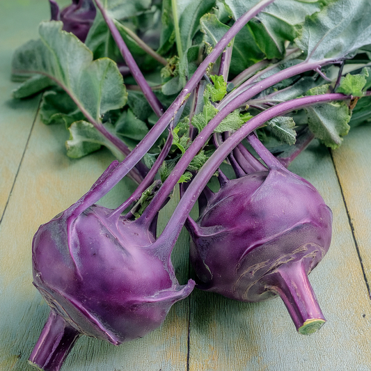 Organic Purple Kohlrabi- Early Purple Vienna (100 seeds)