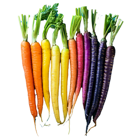 Organic Carrots- Rainbow Blend - 100 seeds