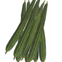 Ridge Gourd 'Bonanza' (Luffa acutangula) – 20 Seeds