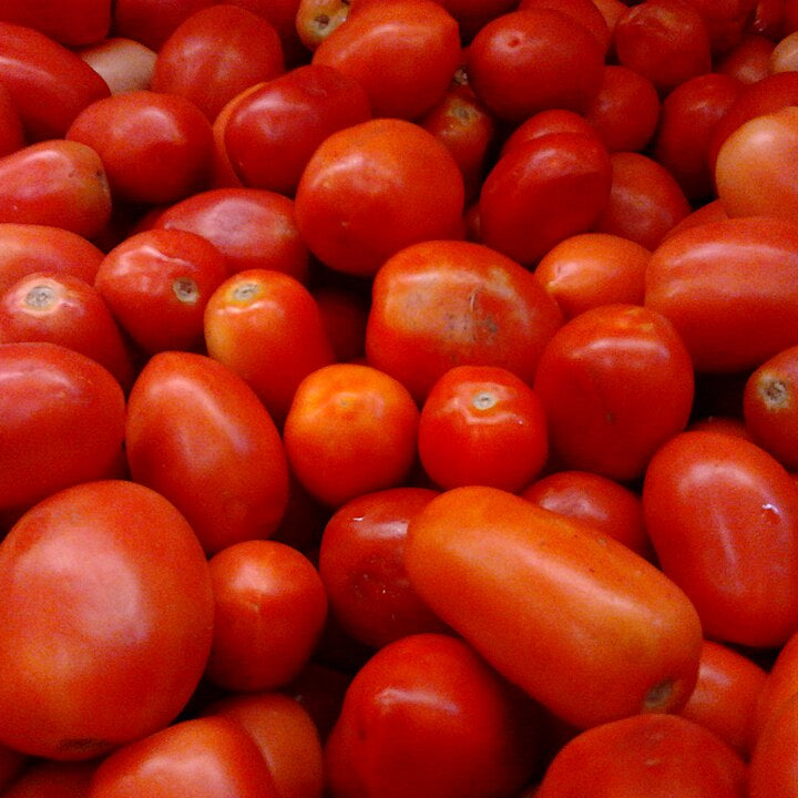 Tomato Roma VF – 50 Seeds, Heirloom, Non-GMO
