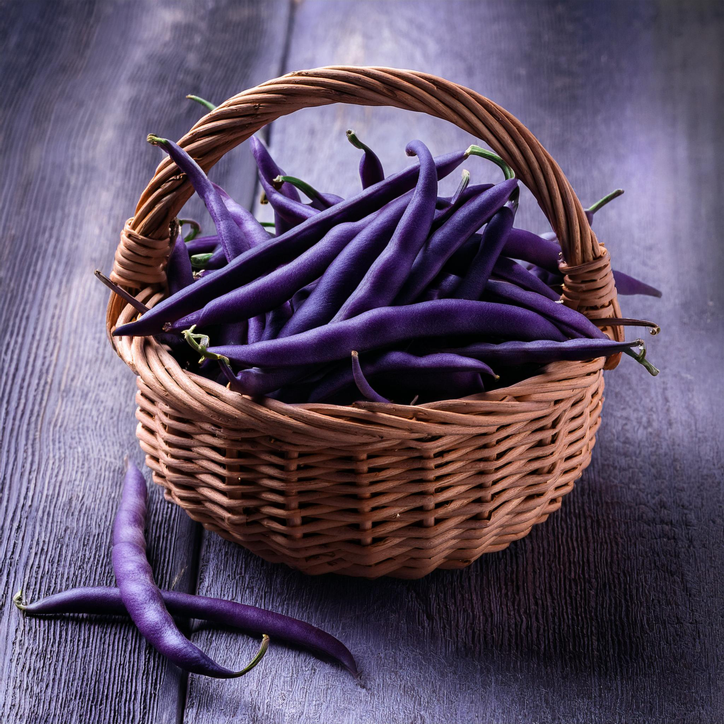 Organic Royal Burgundy Bush Beans - 20 seeds
