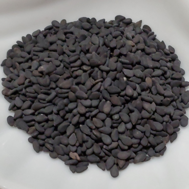 Black Sesame – 100 Seeds, Non-GMO, Heirloom