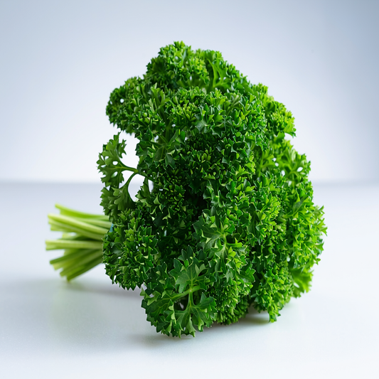 Triple Moss Curled Parsley - 100 seeds