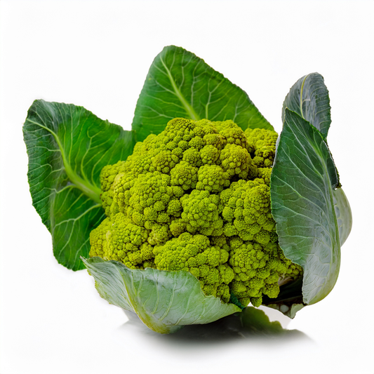 Cauliflower- Green Macerata - Non GMO , Heirloom 100 seeds
