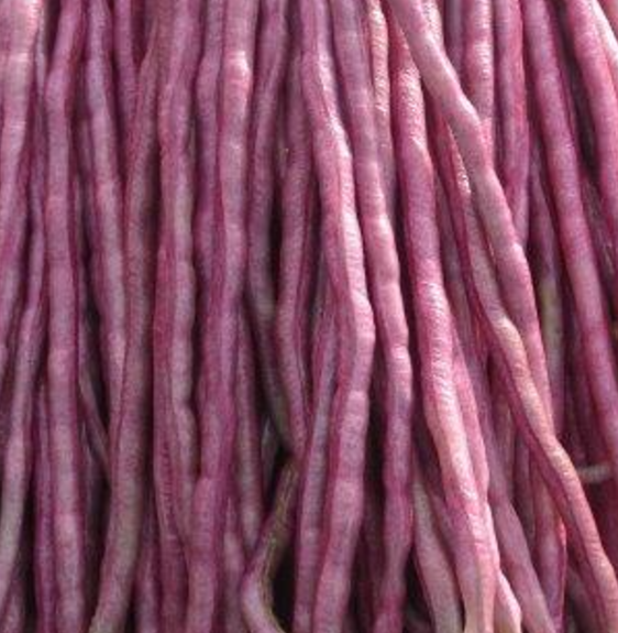 Yard Long Bean- Mosaic - 20 seeds