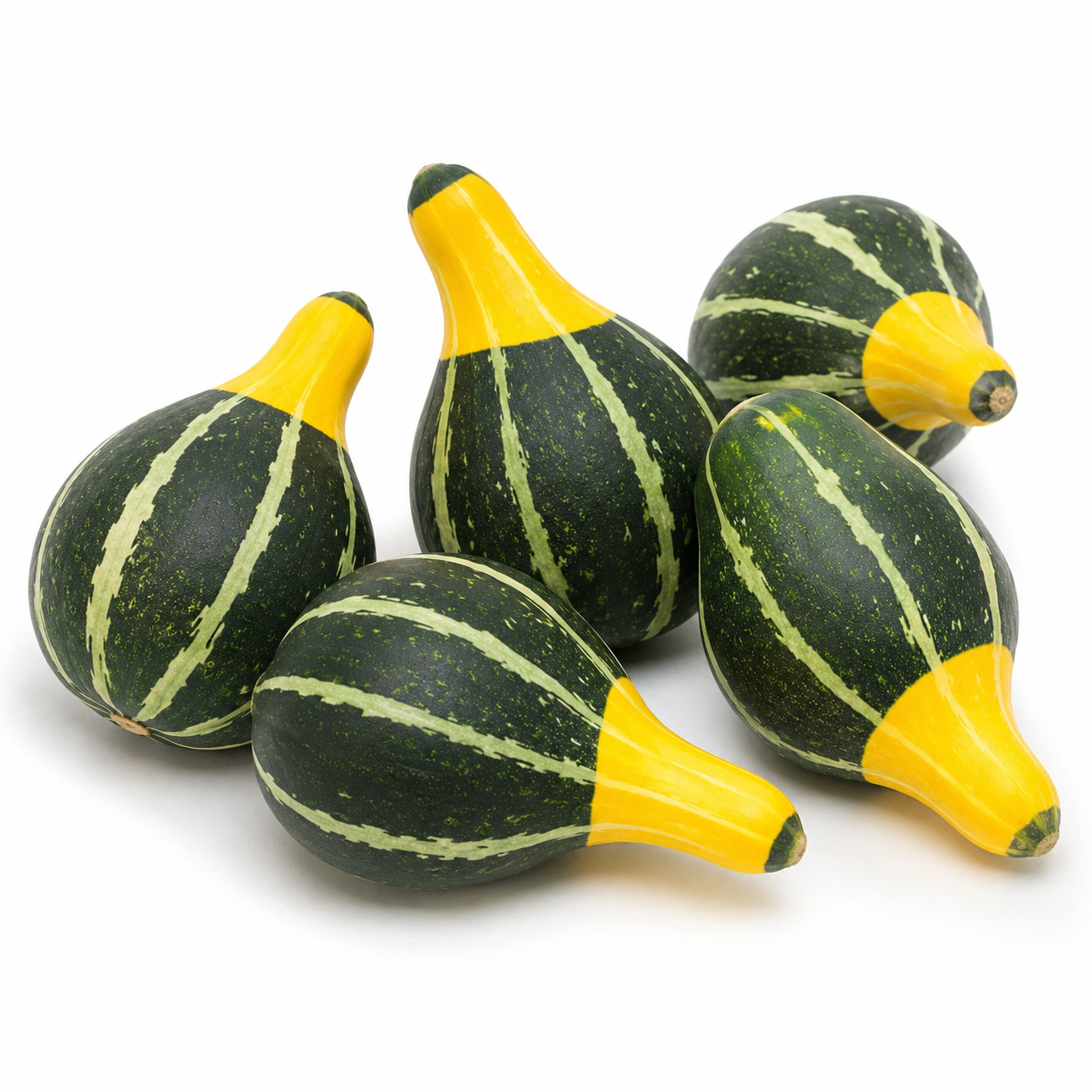 Pear Bi-Color Gourd -20 seeds