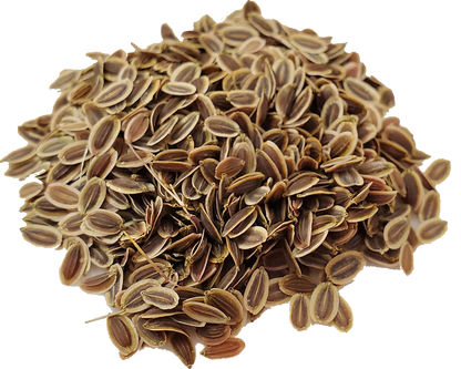Jumbo Winter Wonders Seed Mix – 25 Seed Varieties