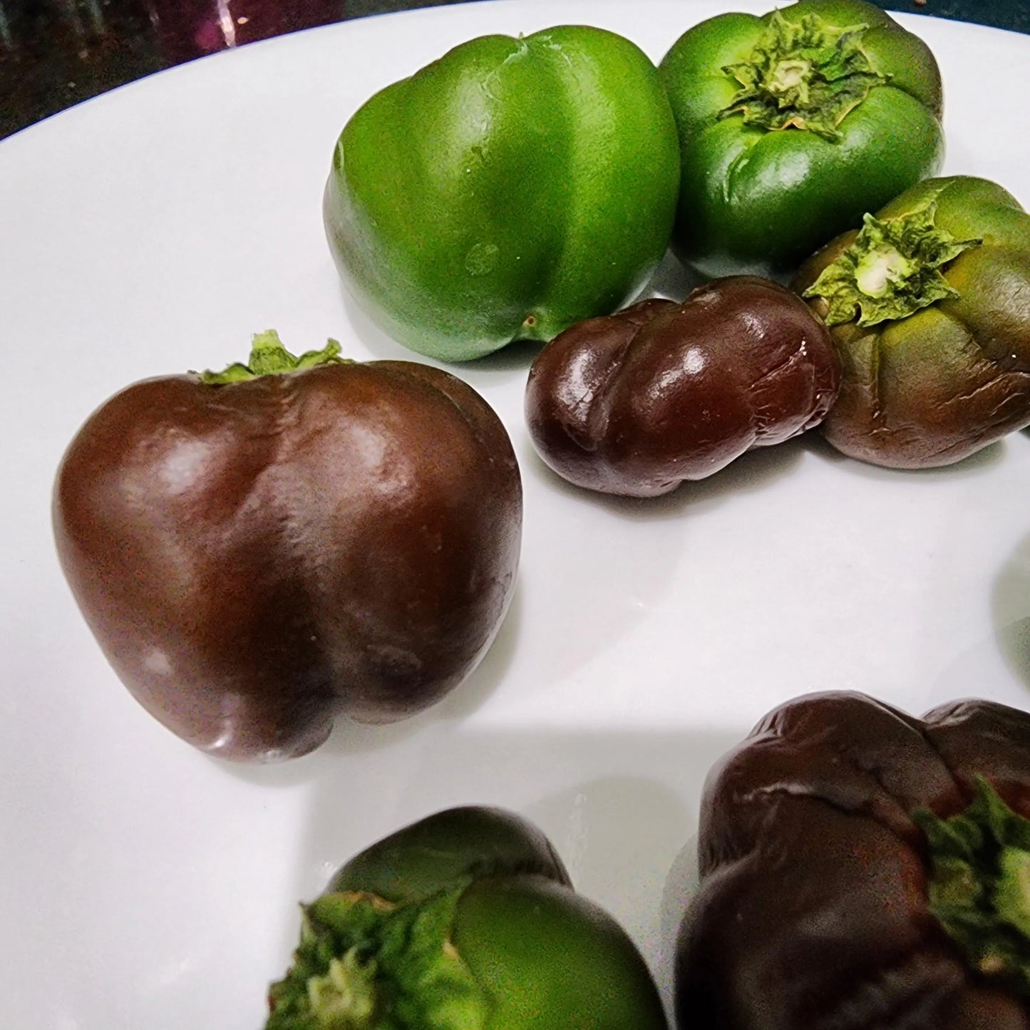 30 SEEDS Chocolate Bell Pepper- Mini size- Non GMO, Heirloom Capsicum annuum