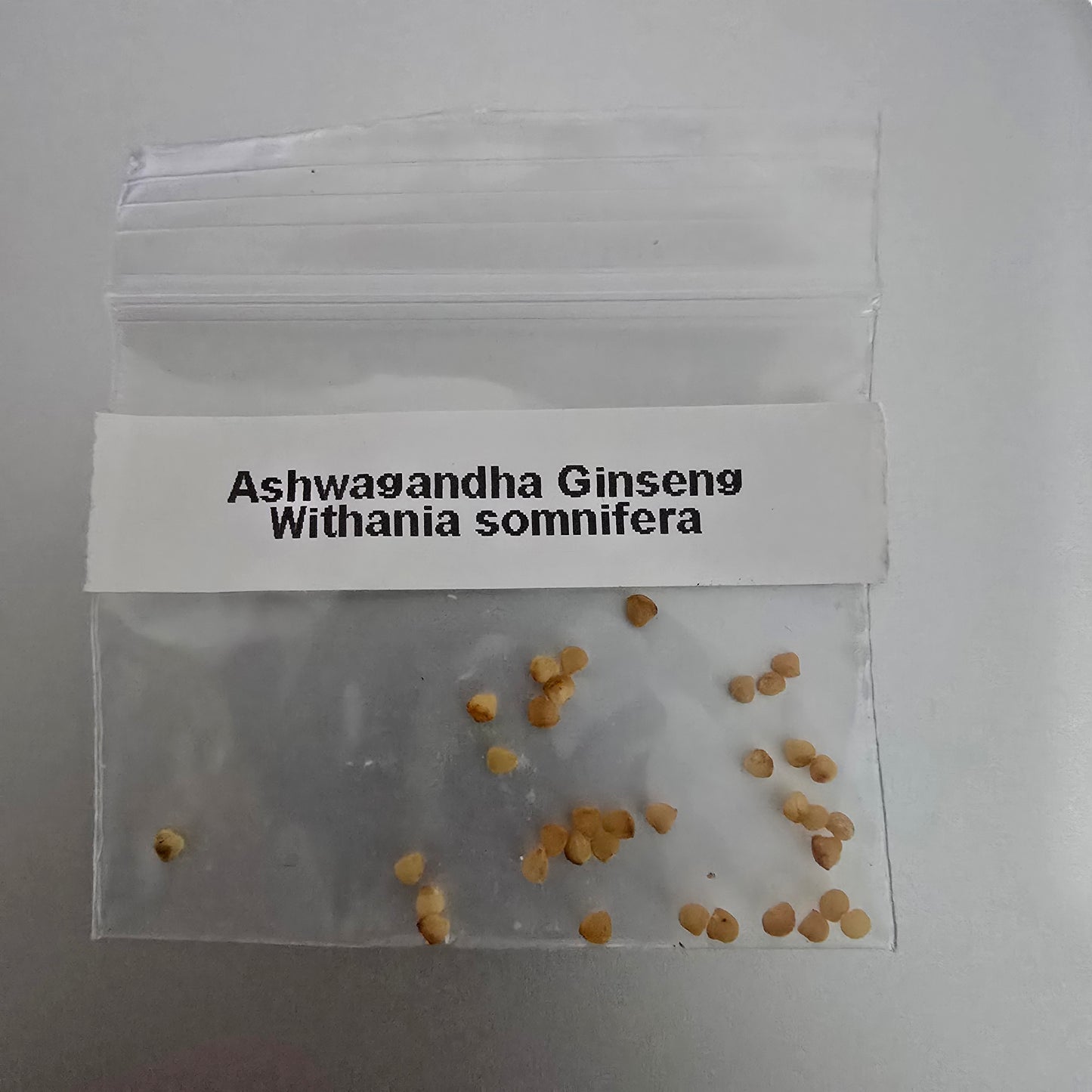 Ashwagandha 30 seeds
